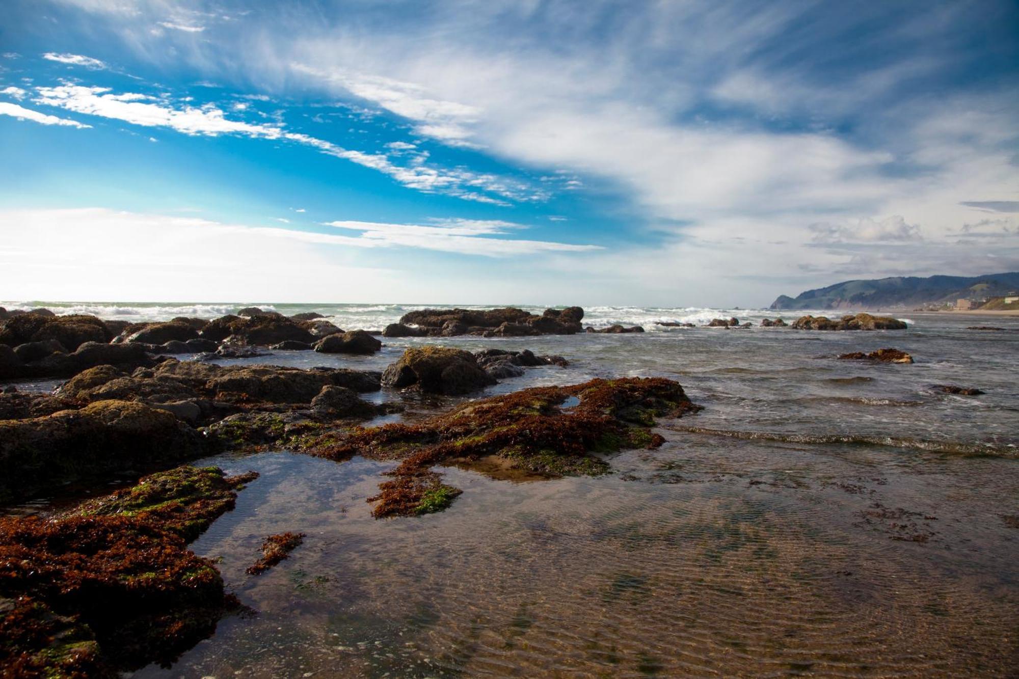 The Coho Oceanfront Lodge Lincoln City Exterior foto